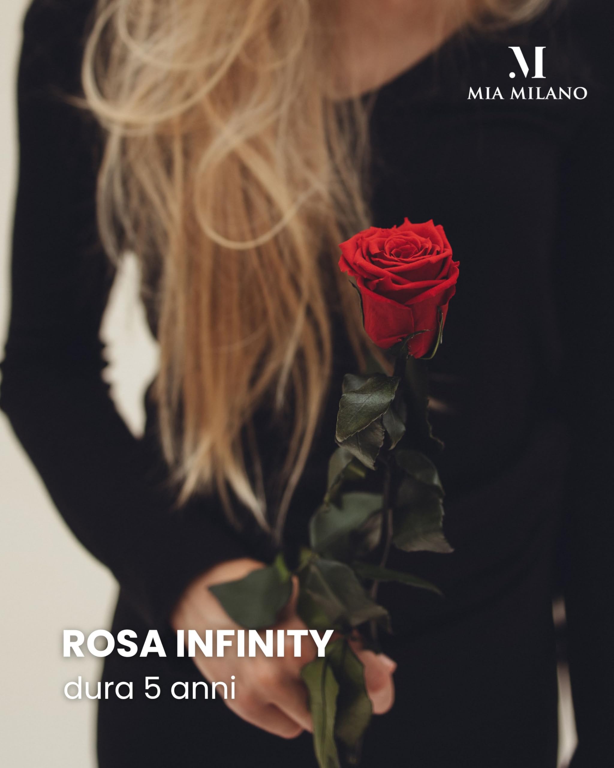 Mia Milano Rosa rossa con gambo lungo (durata 5 anni) in scatola regalo | Regalo decorativo per lei | Fiore conservato con profumo di rosa | Inclusa cartolina regalo