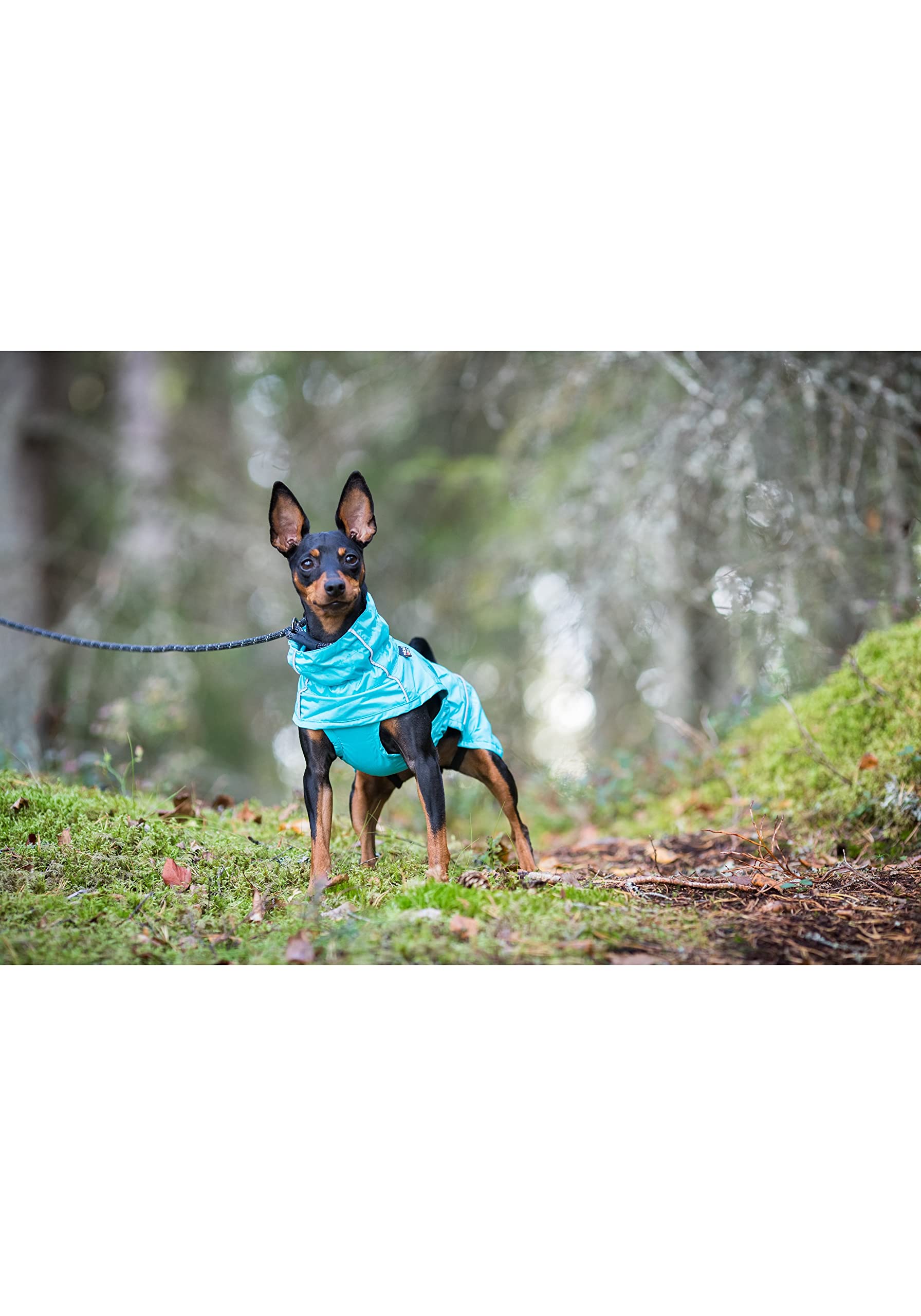 Rukka Pets HASE Regenmantel für Hunde Tuerkis 40