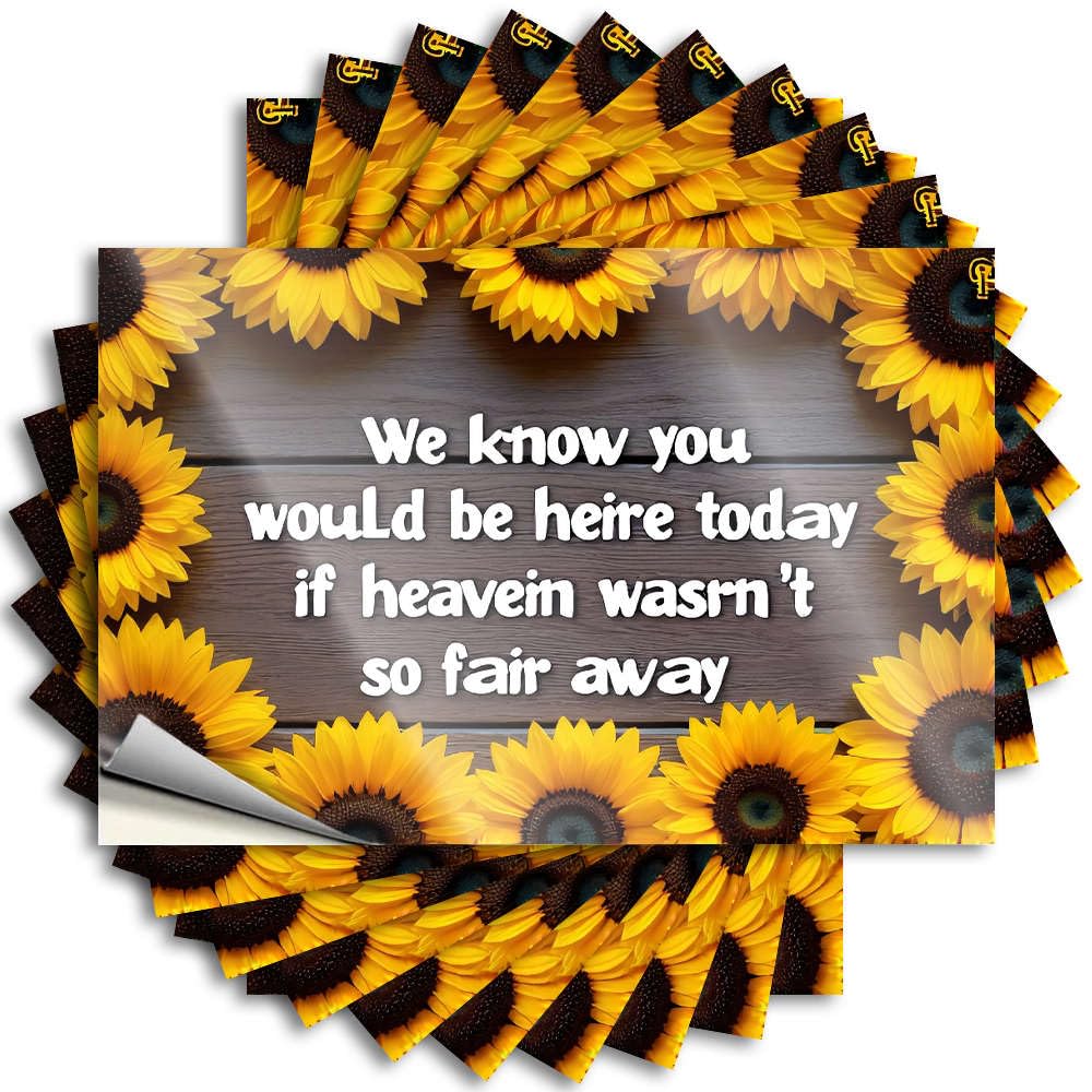 Fzfn Girls Colour Saying Cheap, Free Laptop We Know You Would Be Here Today. | Funny Patio Decor(12X18cm)