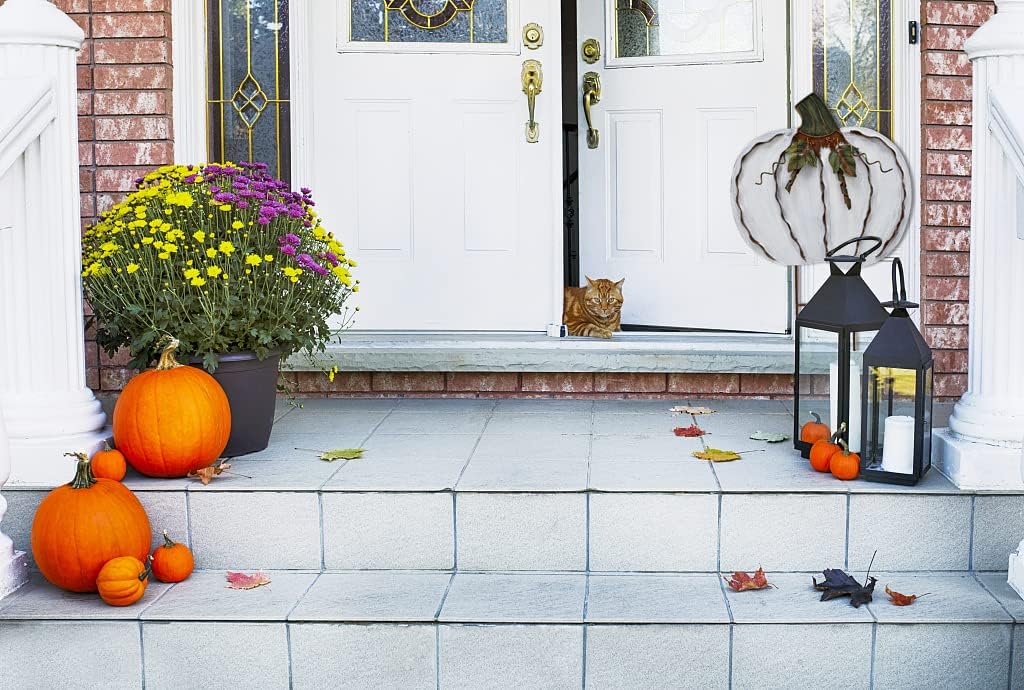 Linfevisi Metal Pumpkin Stakes Yard Signs Decorative Garden Stake Fall Decor Pumpkins Lawn Stakes Ornaments Outdoor Fall Garden Decor Fall Yard Decorations Autumn Harvest Thanksgiving Halloween 17.5"