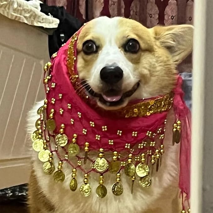 Falda de Danza del Vientre para Perros - Disfraz miniatura 4