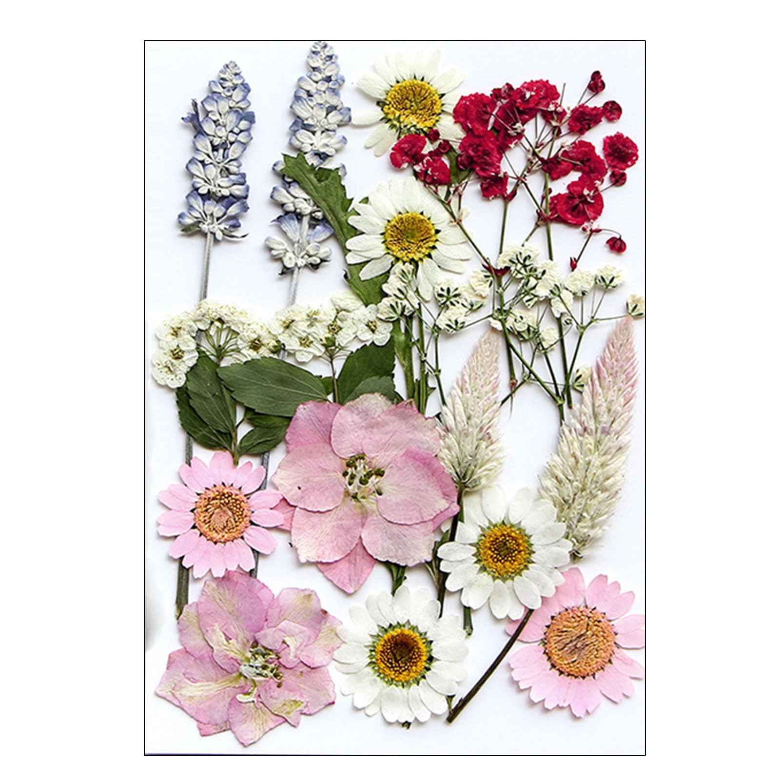 179 Fiori Secchi Pressati Naturali Per Resina Con Pinzette - Kit Fai Da Te Per Candele, Gioielli, Scrapbooking - 2