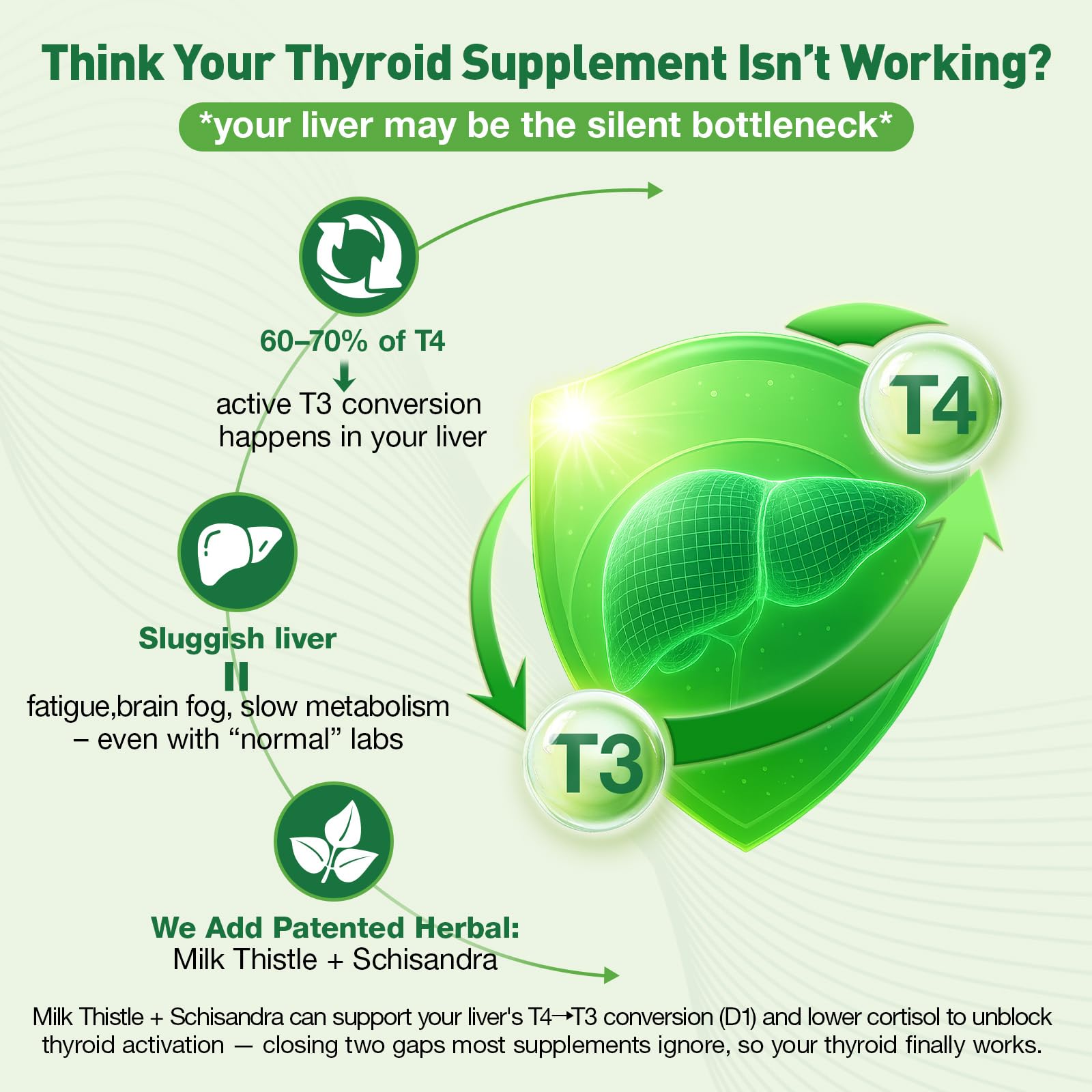 Totaria Thyroid Support for Women & Men, Selenium, Iodine, Zinc, L-Tyrosine, Ashwagandha, B12, Milk Thistle, Kelp, Bladderwrack, Energy, Metabolism, Hormone & Mood, 4 Fl.Oz — Amazon image 6