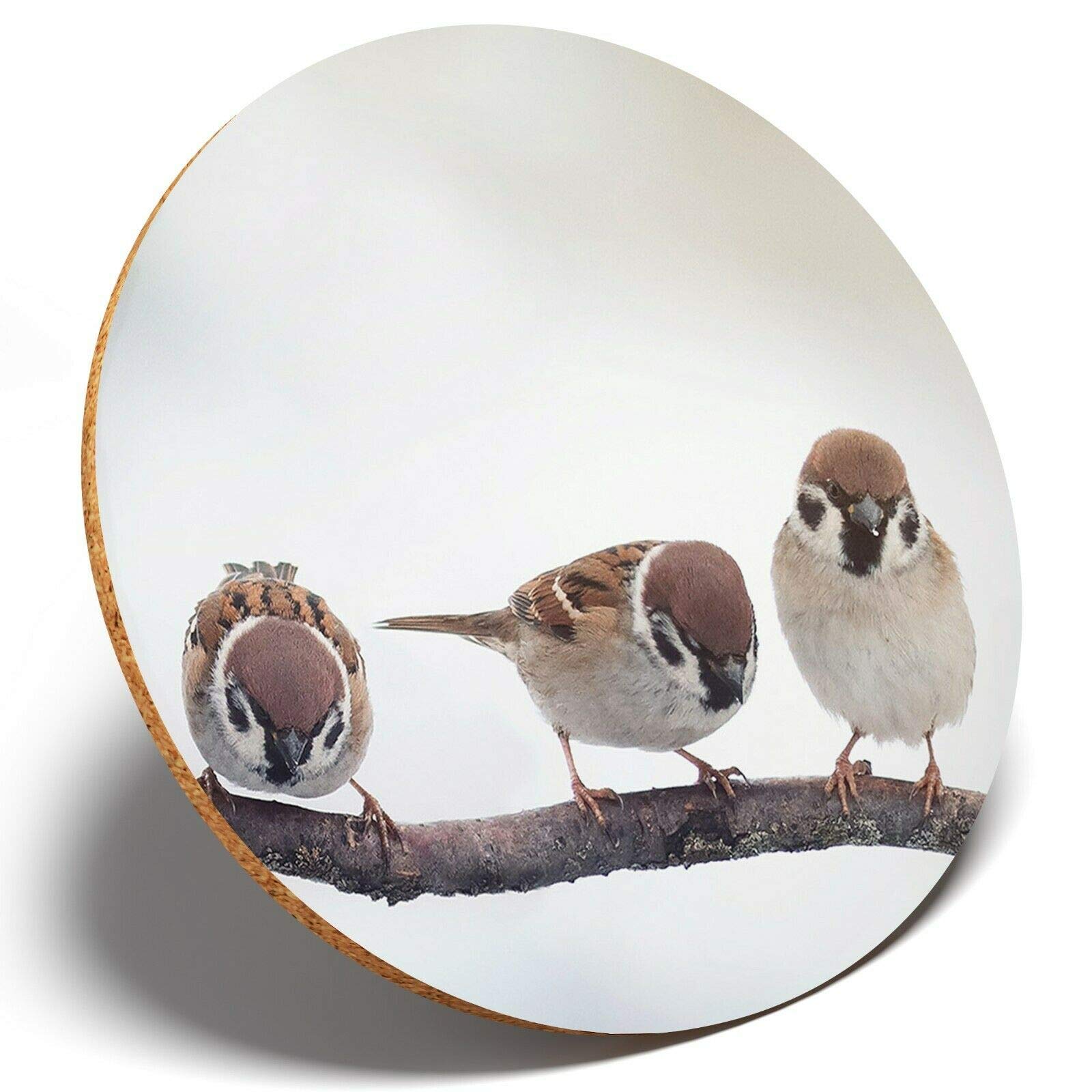 Destination Vinyl Coasters Multicolor 1 X Cute Little Bird Sparrow - Round Coaster Kitchen Student Kids #8142