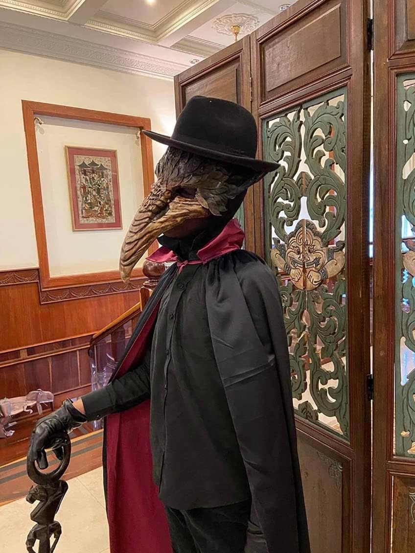 BEYOND Bird Raven Masquerade Mask Crow Falcon Eagle Animal Halloween Costume Cosplay Venetian Mardi Gras Plague Doctor Mask Long Nose Bird Party Mask