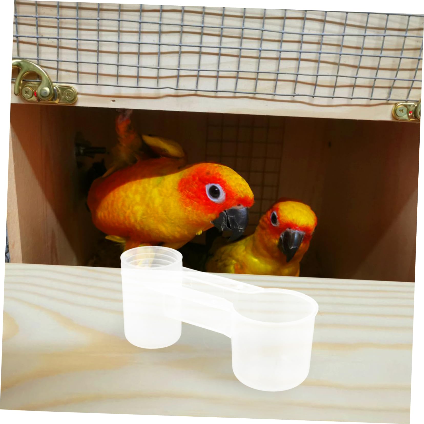 WOONEKY Bebedero para Pájaros y Palomas de Plástico Blanco 2 Puertos, Fácil de Limpiar y Proporciona Agua Limpia, Adecuado para Casa y Zoológico, Paquete de 10 Unidades