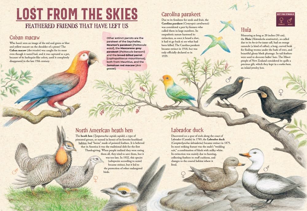 Extinctopedia: Discover what we have lost, what is at risk, and how we can preserve the diversity of our fragile planet (Smithsonian)