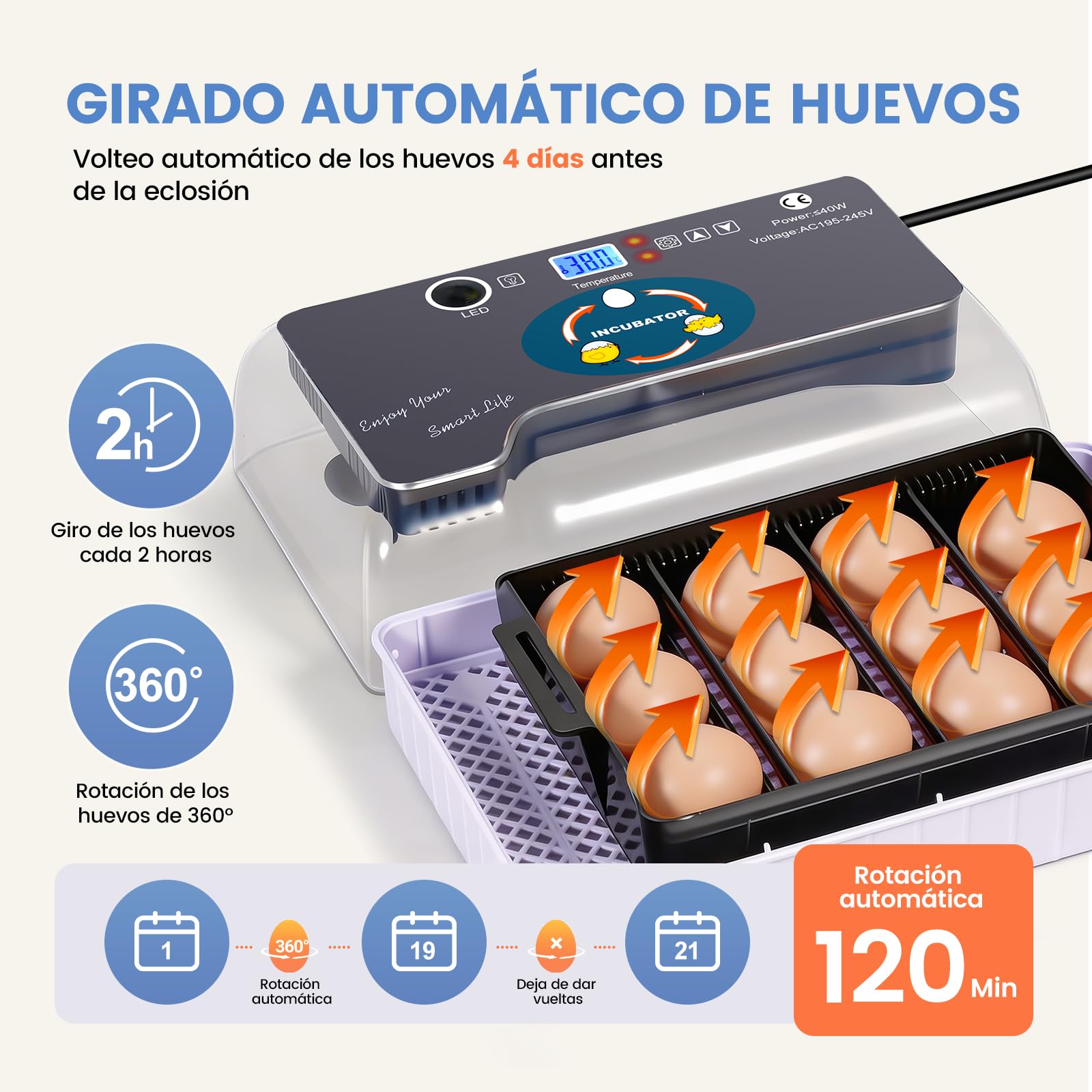 Incubadora de Huevos Automática, Criadora de 12 Huevos con Volteo Automático y Control de Humedad, Incubadoras para Incubar Huevos, Pollos, Patos, Gansos, Codornices, Loros