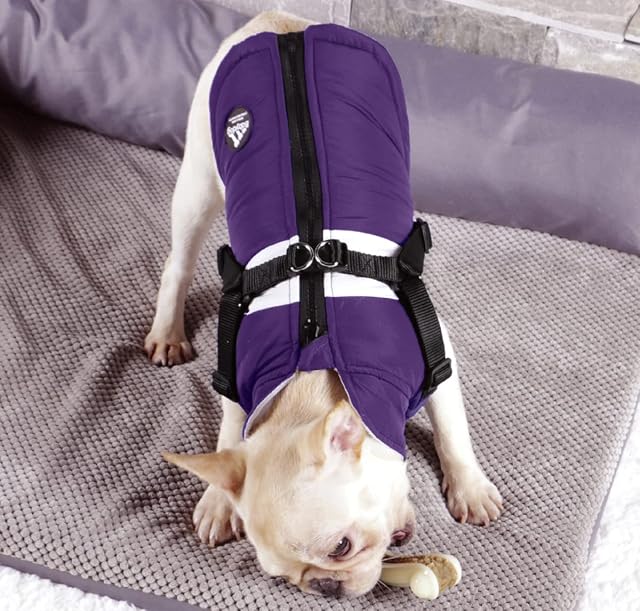 Foto 3 de 6 de BabyDog Abrigo Chaleco para Perro con Forro Polar, Arnés con Anilla,Cremallera Ajustable sin Mangas (S