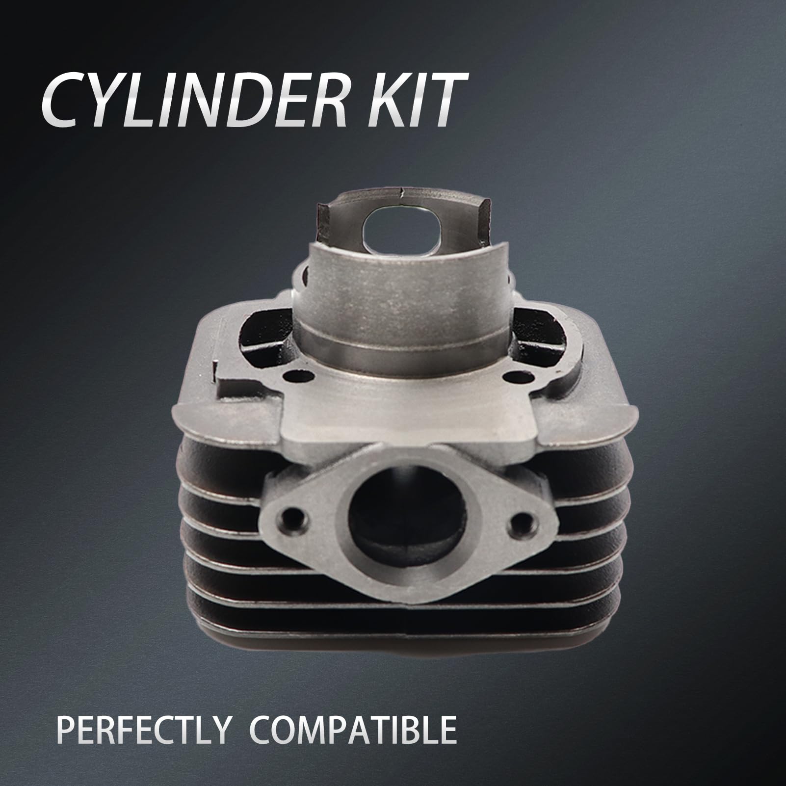 Kit Cilindro Gruppo termico DR Evolution 70cc D.48 Piggio AC ARIA SP.12 GHISA en fundición refrigerado por aire para motores Piggio Gilera 6 transferencias con escape elíptico y cabeza