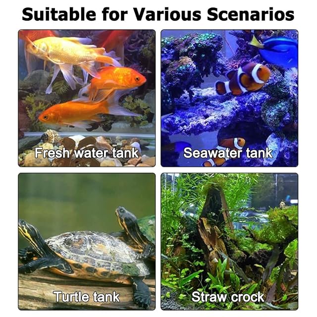Foto 7 de 7 de DONGKER Calentador de agua sumergible para acuario, 17 ℃ -34 ℃ Calentador de cristal sumergible