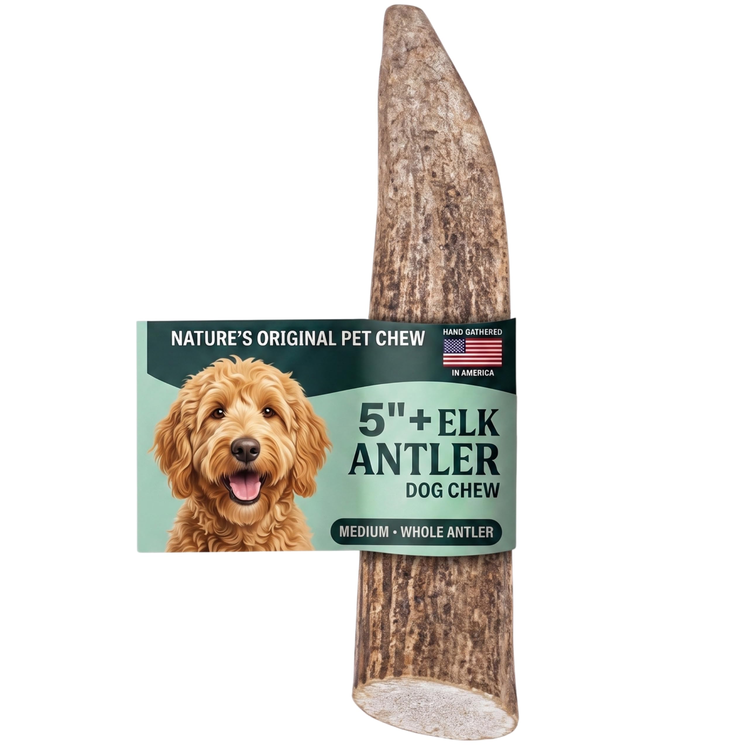 Mountain Valley Elk Antlers for Dogs Chew Whole Dog Antler, Medium