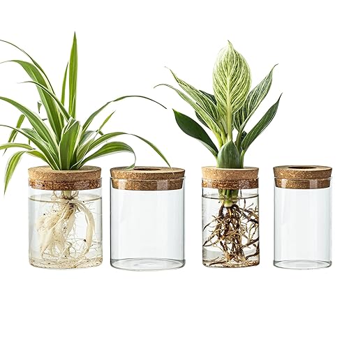 Glass Propagation Stations for Plants -Desktop Flower Vases,Propagation Flower Vases