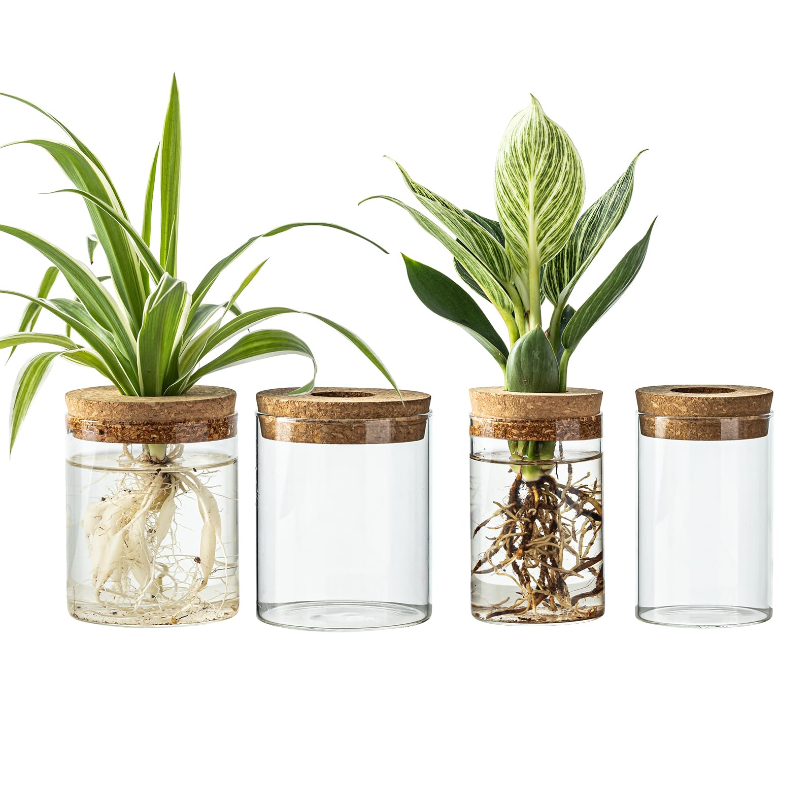 Glass Propagation Stations for Plants - Desktop Flower Vases 4-Piece Set