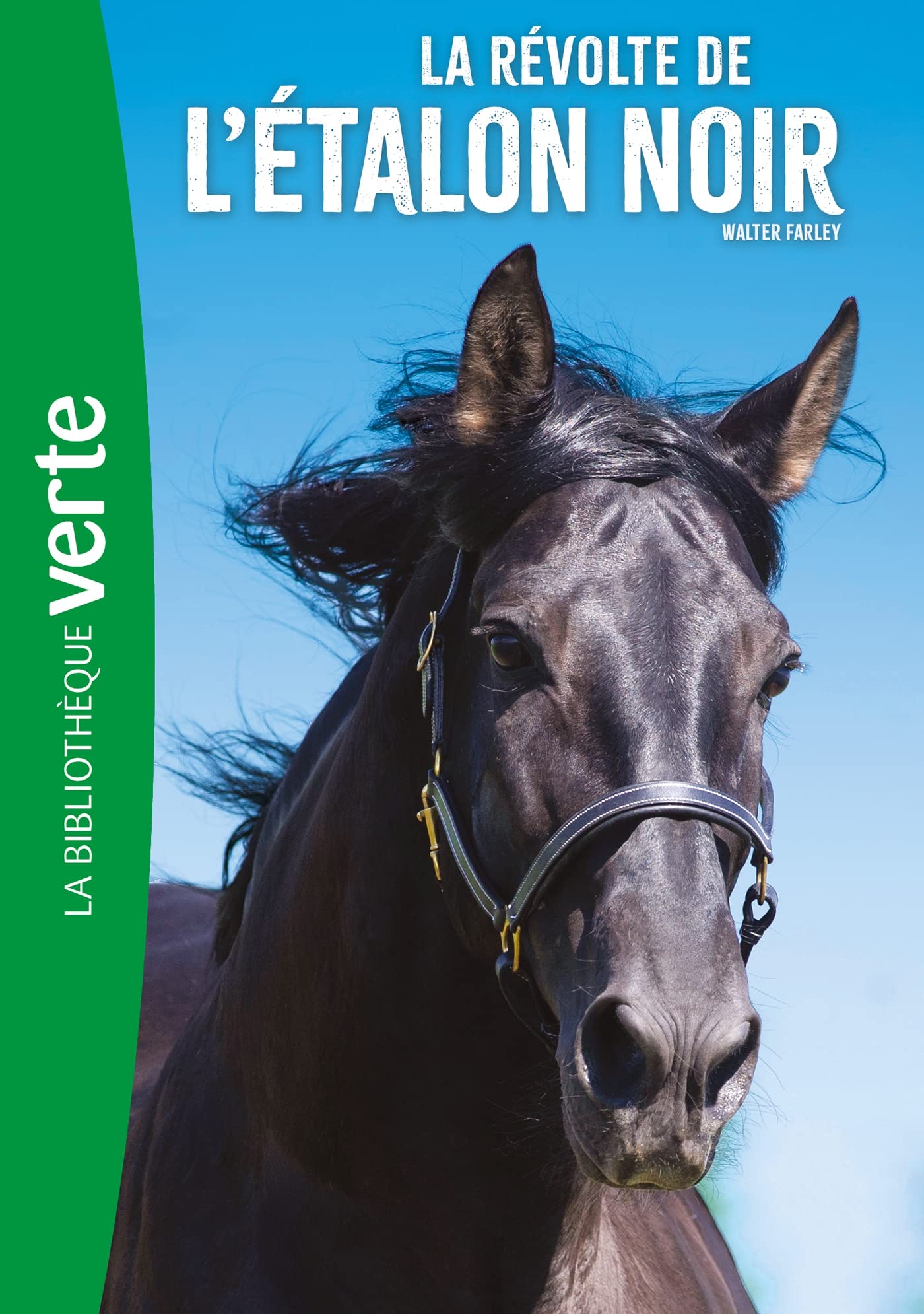 L'Etalon noir 06 NED - La révolte de l'Etalon Noir: 6