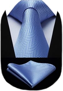HISDERN Krawatten Für Herren Gepunktete Klassische Taschentuch Formelle Elegant Krawatte & Einstecktuch Set Für Hochzeit Party Business