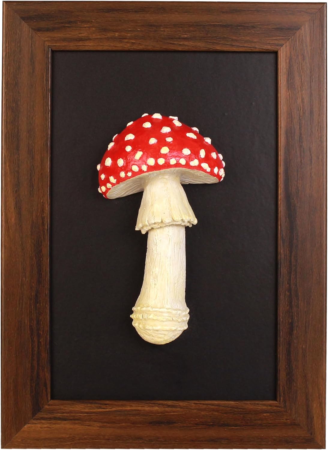 Handmade Amanita Muscaria Framed Wall Art | 3D Sculpture Painting | Rustic Cottage Nature Decor