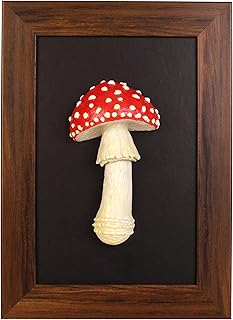 Handmade Amanita Muscaria Framed Wall Art | 3D Sculpture Painting | Rustic Cottage Nature Decor