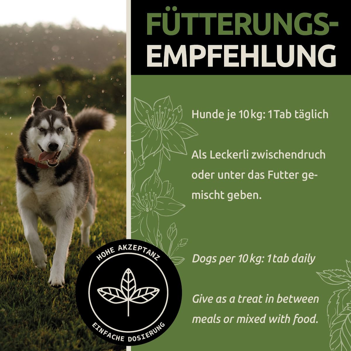 GreenPet Le Zinc pour Les Chiens 120 Tablets - Zinc Tablets Plus avec vitamines pour Peau sèche, Chien Qui démange, Perte de Poils, renforcement du système immunitaire, Changement de Pelage