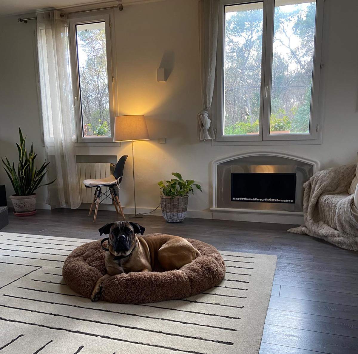Labrador Sleep Donut Hondenmand Orthopedisch Grot Kalmerende Knuffel Medium/ Extra Large/Kussen Rieten XXL Matras Anti Angst Wasbaar XL Fluffy Plush Memory Foam grijs little surprise
