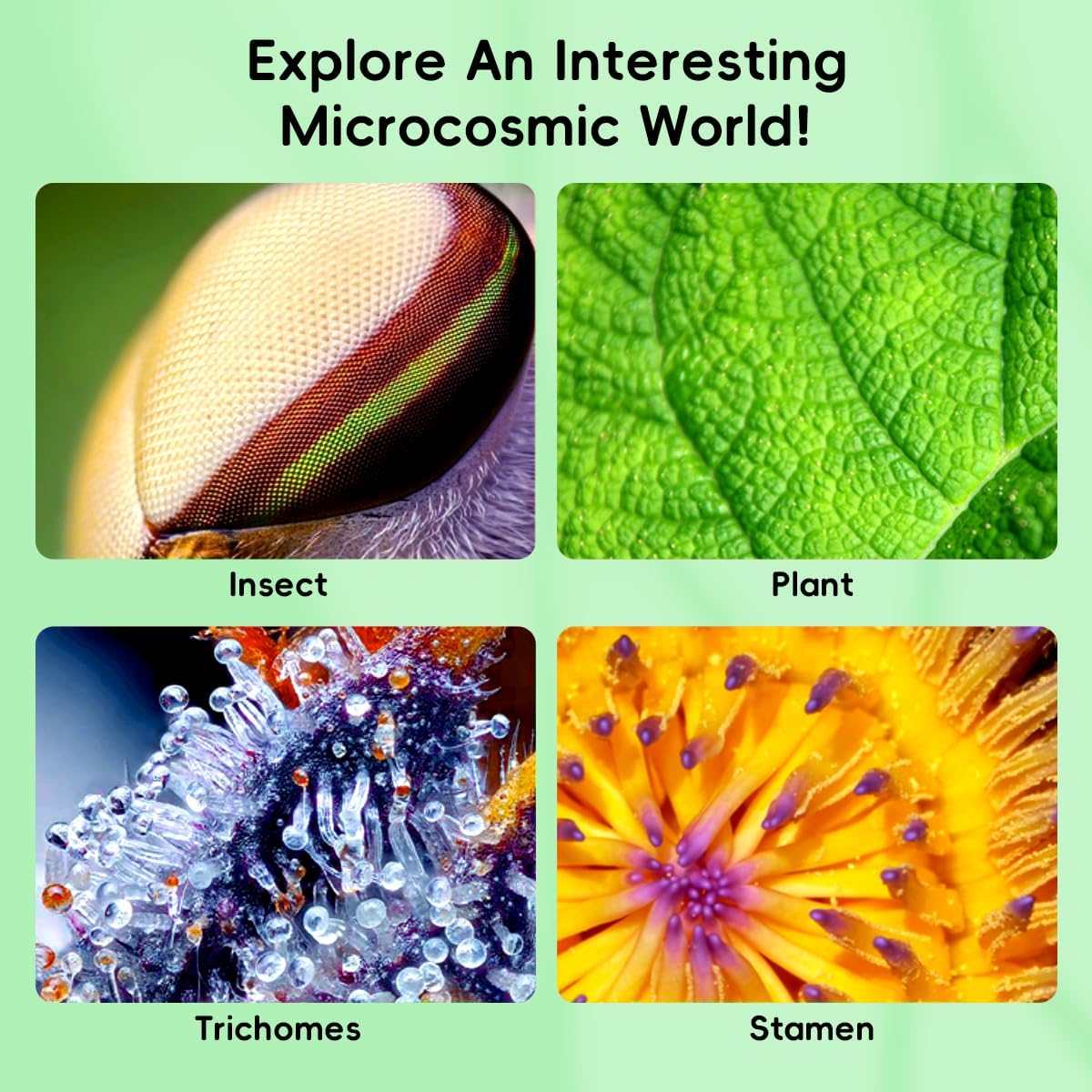 1000X Handheld Microscope for Kids, 3'' Digital Kids Microscope with Adjustable Light, Easter Pocket Portable Micro Scope, Stem Toys for Ages 5-7 8-12 Teen Boys and Girls Educational Gifts, White