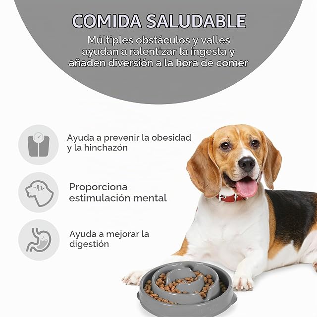 Foto 2 de 7 de Outward Hound Fun Feeder Slo-Bowl - Comedero con obstáculos para Perros - Gris - Mediano/Mini