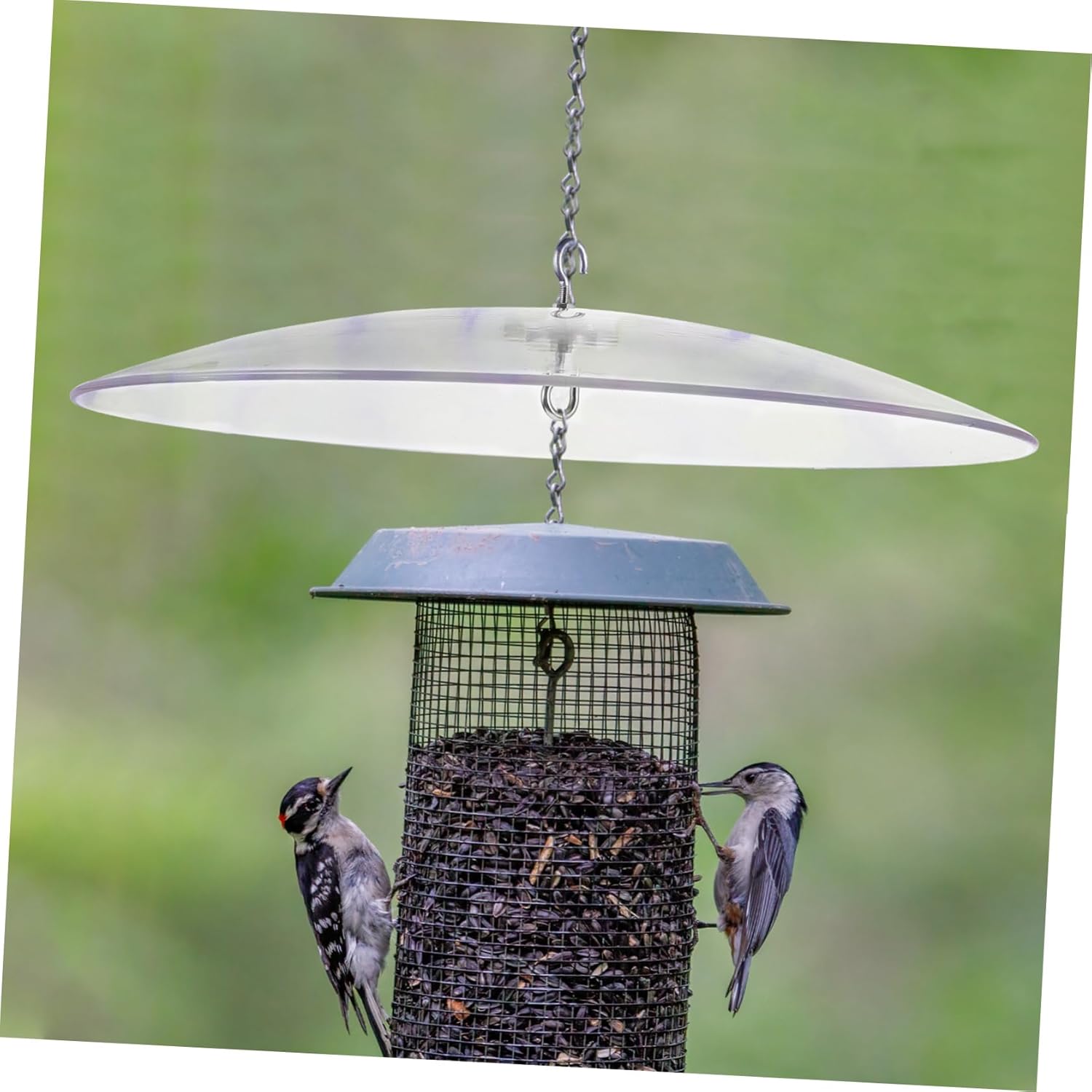DECHOUS Bird Feeder Rain Cover Transparent Hanging Feeder Protector Weather Dome for Outdoor Use Squirrel Deflector Multi Functional Garden Decoration