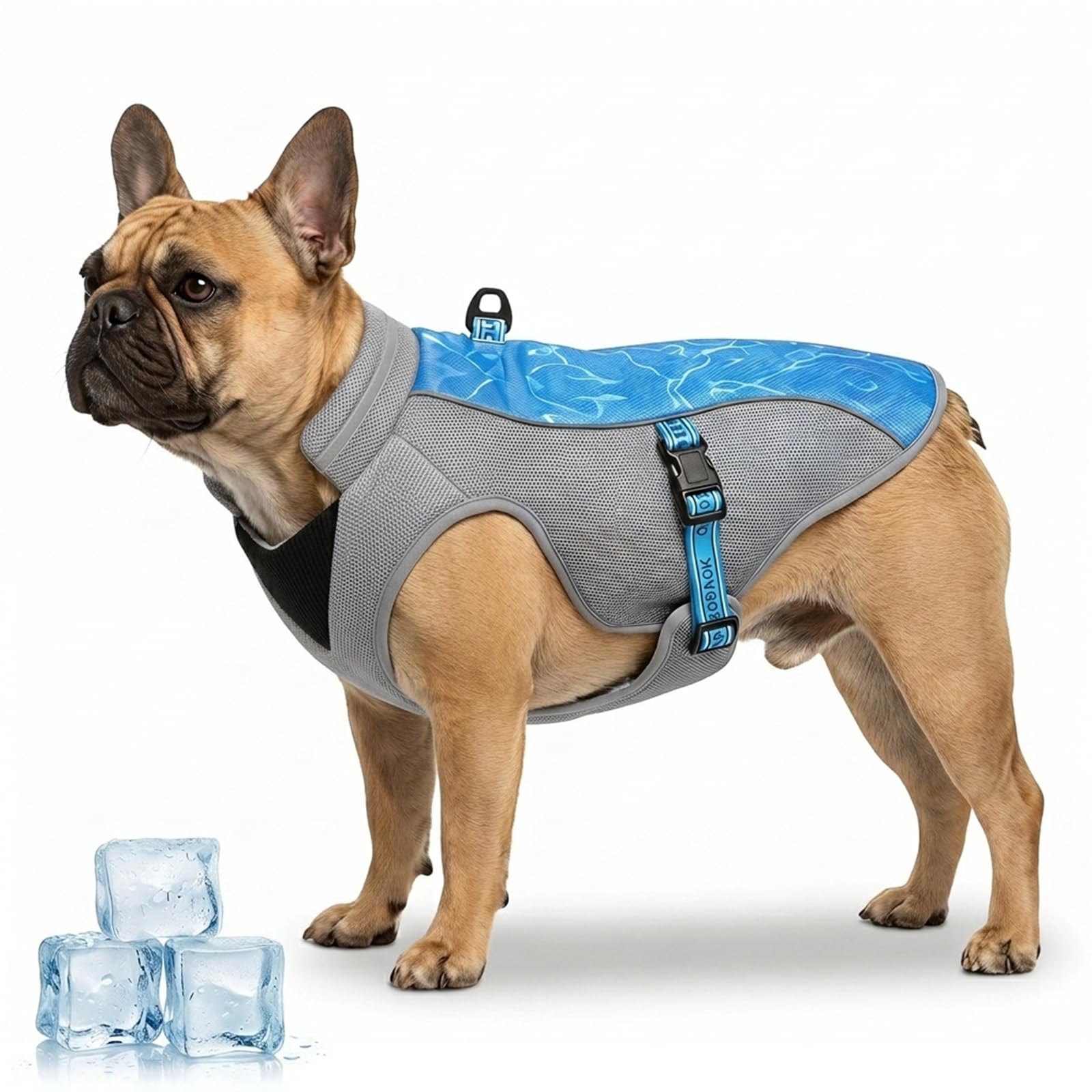Gilet rafraîchissant pour chiens éviter le coup de chaleur du bouledogue