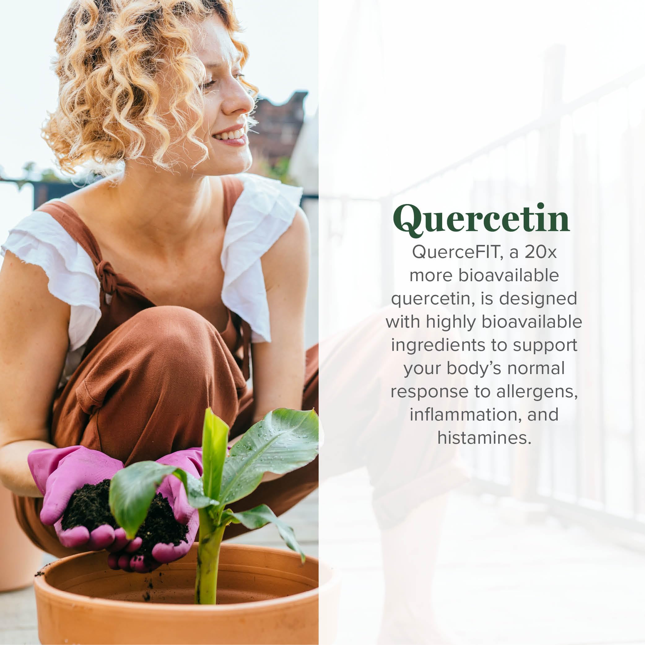 Quercetin Supplements 250mg to Support Immune System (60 Capsules) — Amazon image 2