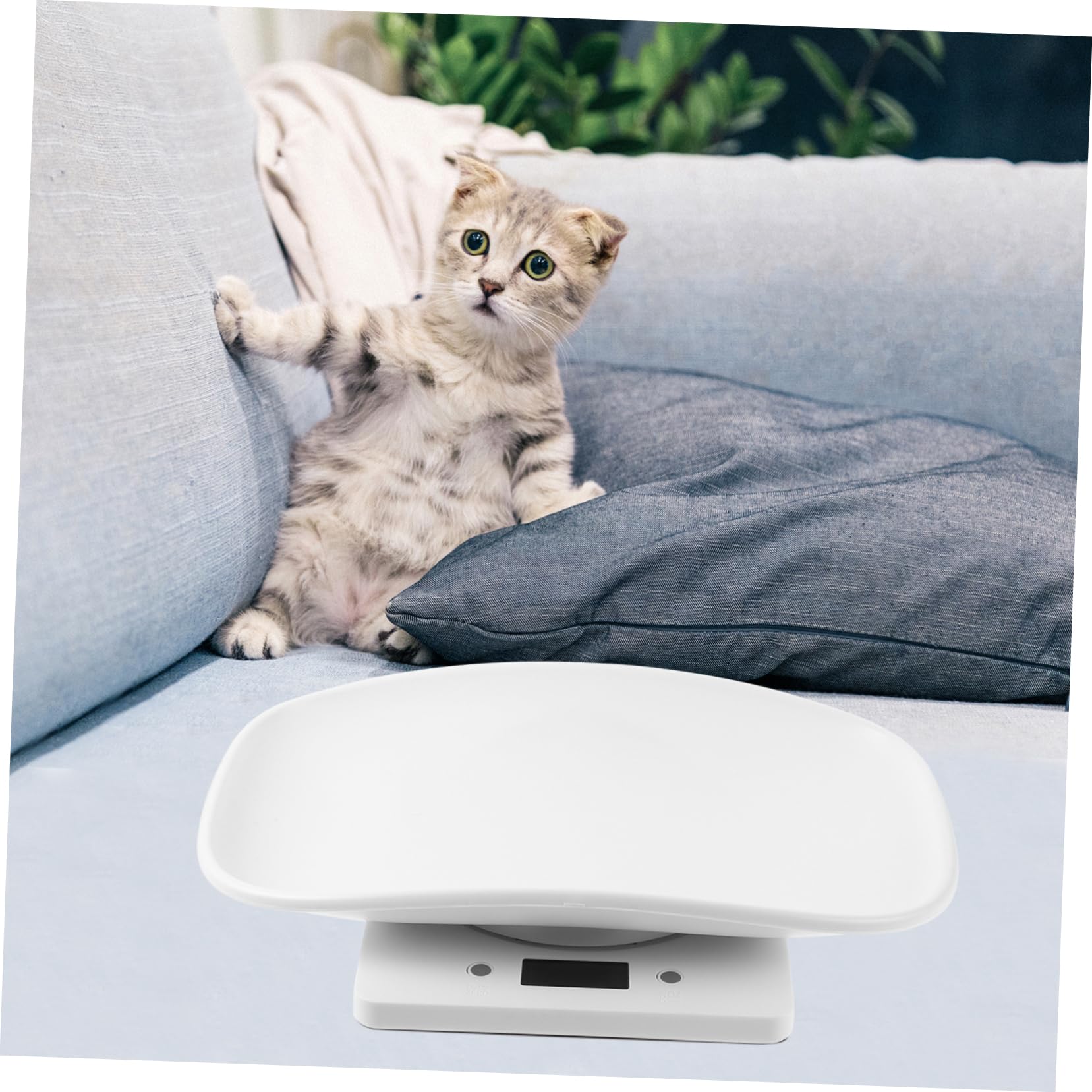 POPETPOP Bilancia Digitale Elettronica per Piccoli Animali Domestici Display LED Luminoso, Vassoio Plastica da 10 kg, Bilancia Elettronica Multiuso per Cuccioli e Gattini Uso Domestico e Veterinario