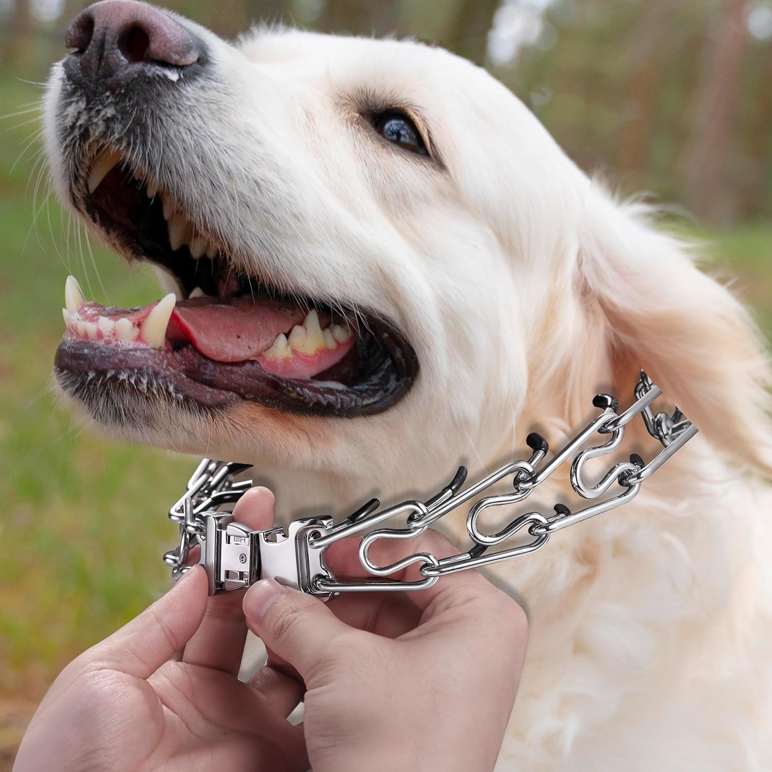 Dog Collar Buckle, Quick Release Stainless Steel Buckle for Small Medium Large Dog Training Collar (2.25mm) - Image 6
