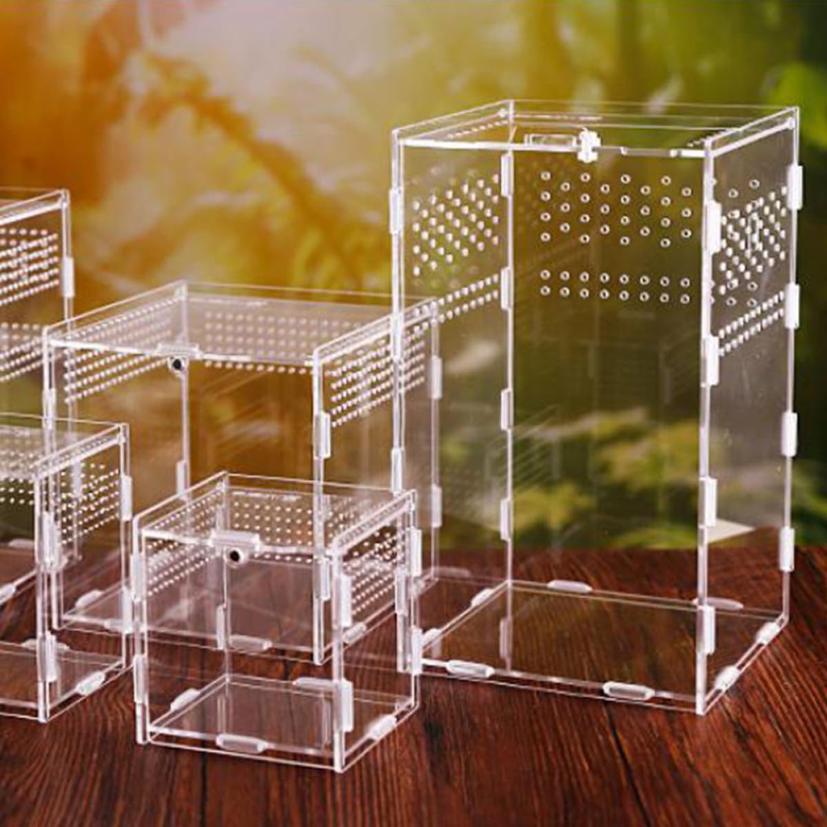 ULTECHNOVO Caja de Alimentación y Orificios Respirables para Reptiles de Acrílico Transparente Tapa Desmontable para Camaleones Adecuado y Camaleones en Terrario