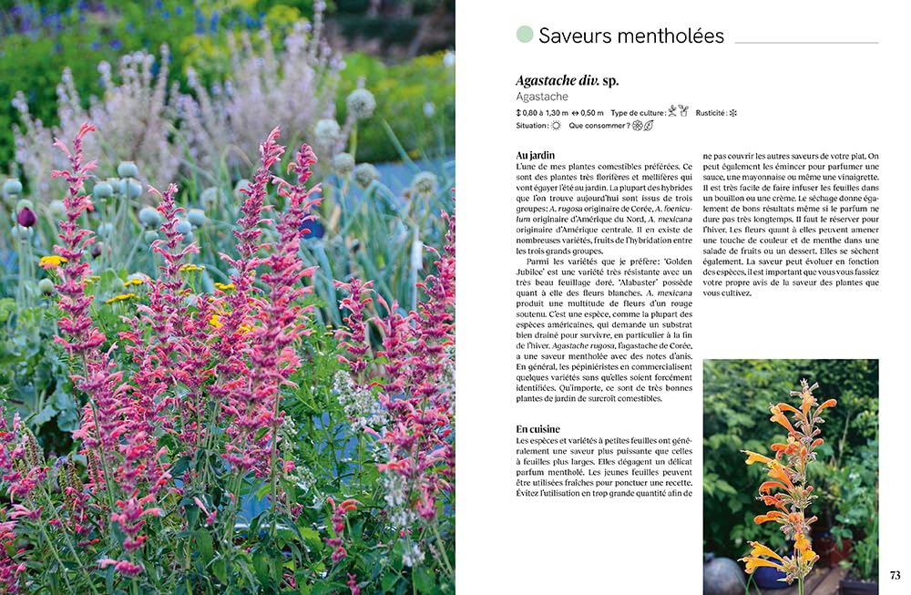 Toutes les saveurs du jardin - 22 saveurs à cultiver dans son jardin - 90 plantes comestibles - 32 recettes créatives