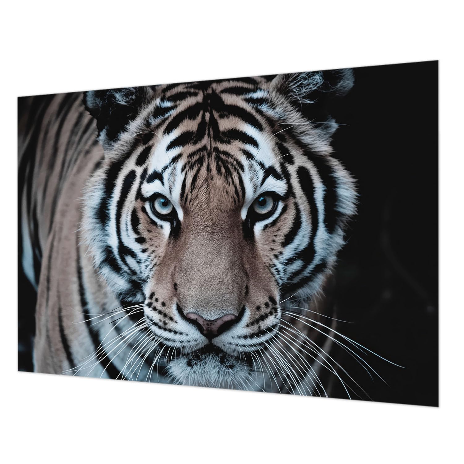 Papier peint intissé tigre 208x146 cm facile à nettoyer et à poser
