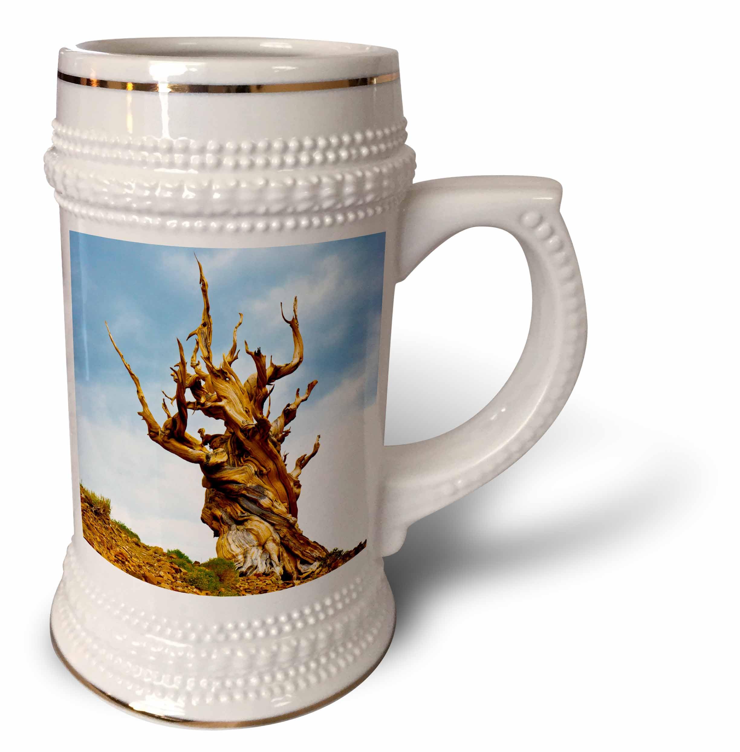Jarra de cerveza tipo taza Stein de California Ancient Bristlecone Pine para coleccionistas
