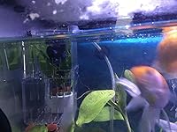 Review Image by Amazon Customer Amazon Customer