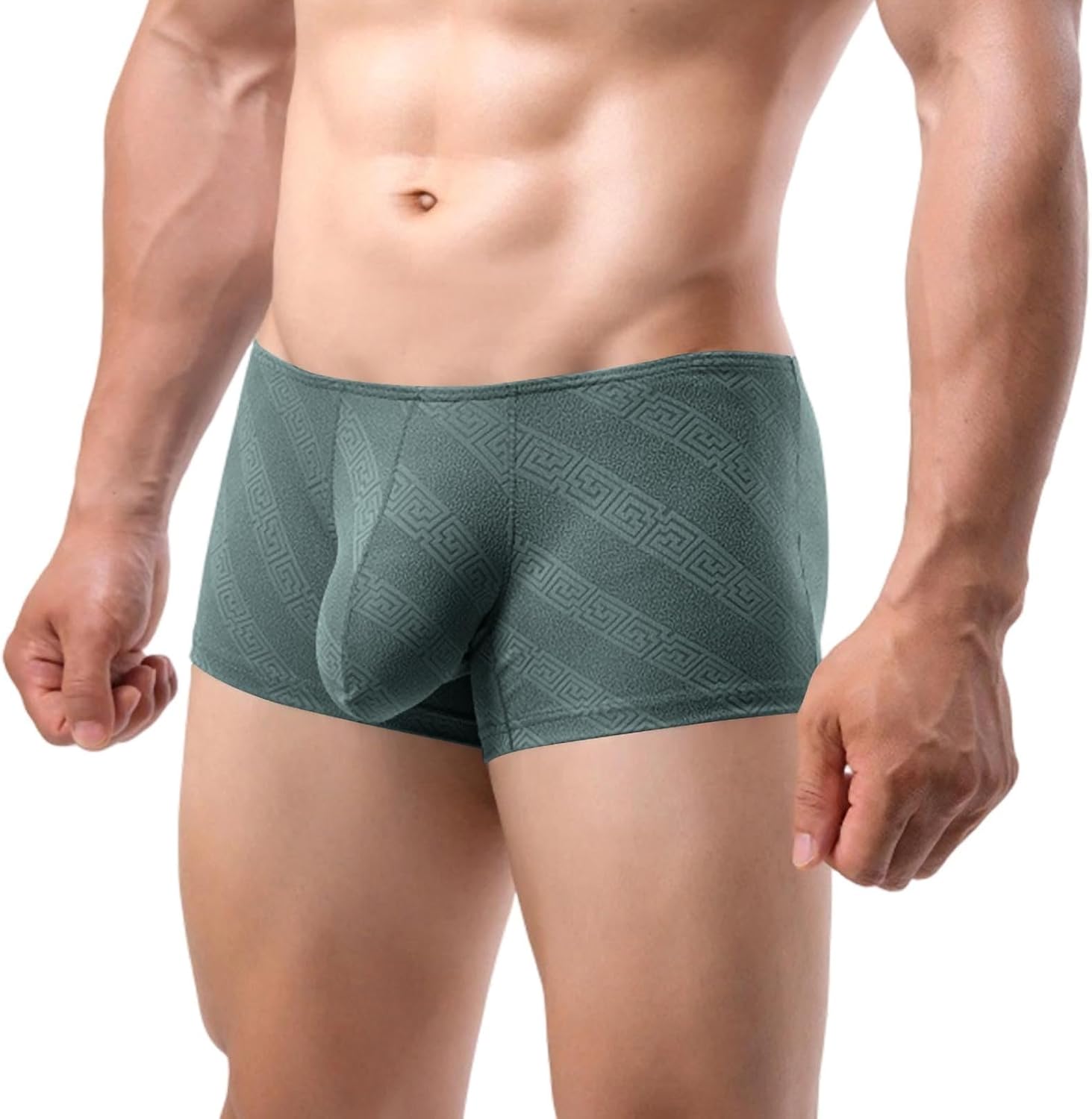 Men's Jacquard Boxer Briefs Low Rise Contour Pouch Trunks