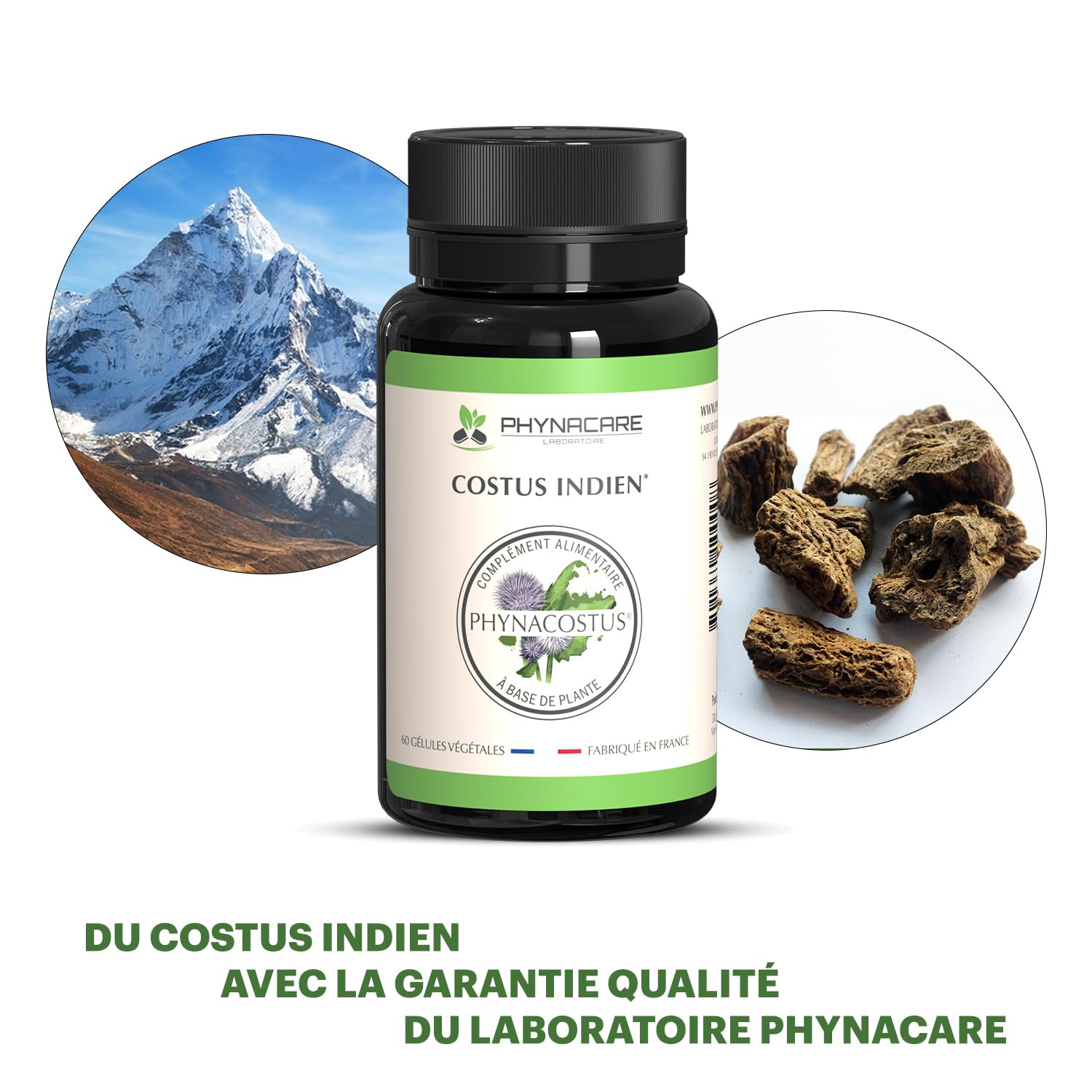COSTUS INDIEN - COSTUS MARIN - 60 GÉLULES VÉGÉTALES - PHYNACOSTUS, FABRIQUE ET ANALYSÉ EN FRANCE, PHYNACARE LABORATOIRE