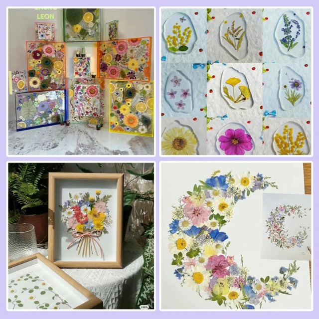 Homeilteds 30 stks/set geperste gedroogde bloem droge planten voor epoxyhars hanger ketting sieraden maken ambachtelijke DIY accessoires bloemen (kleur: willekeurige verzenden