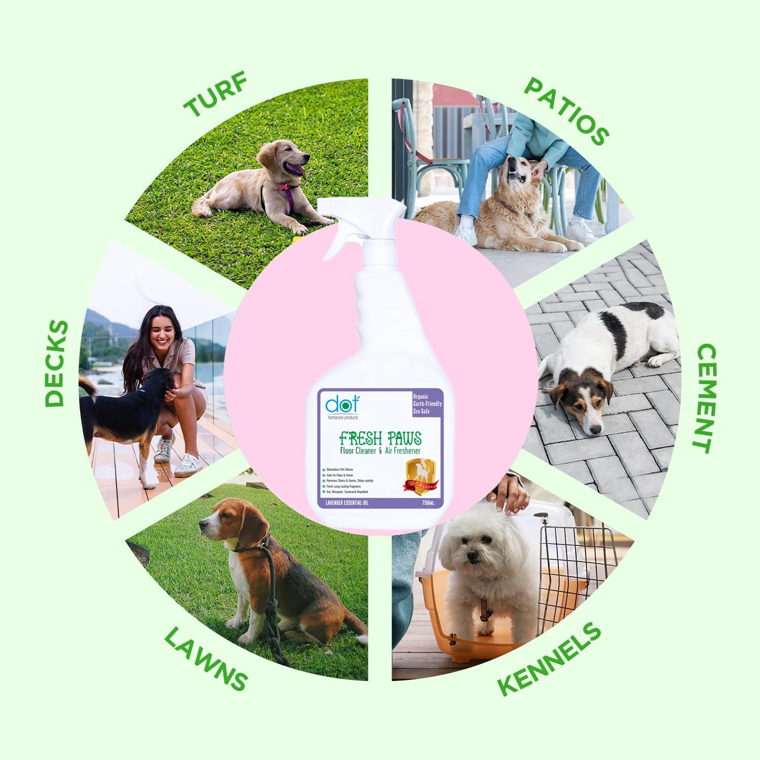DOT Floor Cleaner, Stain And Odour Eliminator 750mL for Kids & Pets Mess Enzymatic Formula For Tough Messes - 100% Eco Friendly & Bio-Degradable, Insect Repellent - A product from a serious pet lover 1