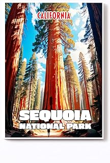 Handmade Fridge Magnet California Souvenir Gift Size 2X3 (Sequoia Natioanl Park 1)