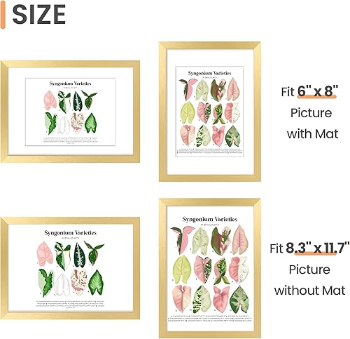 Vista 128 de upsimples - Portarretratos de 8.5 x 11 pulgadas, para fotos de 6 x 8 pulgadas con paspartú o de 8.5 x 11 pulgadas sin paspartú, marcos de fotos