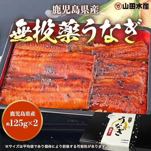 食の達人 うなぎ 鹿児島県産 2尾 ギフトBOX入 125gx2 化粧箱入 国産 蒲焼き 長焼き 無投薬 焼き上げ 無頭 2本 の商品画像 2
