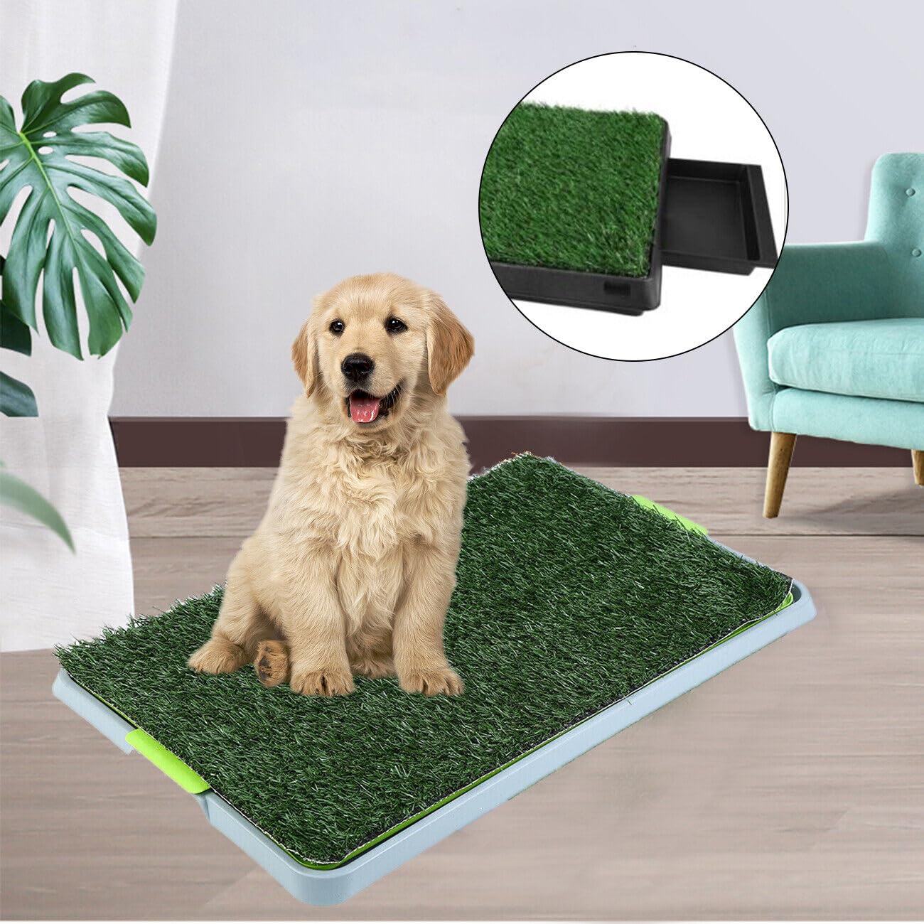 Dog Toilet, Puppy Toilet 67 x 42 cm - Indoor Dog Potty for Training - Lawn Mat for Small, Large and Older Dogs Dog Toilet, Puppy Toilet 67 x 42 cm - Indoor Dog Potty for Training - Lawn Mat for Small, Large and Older Dogs