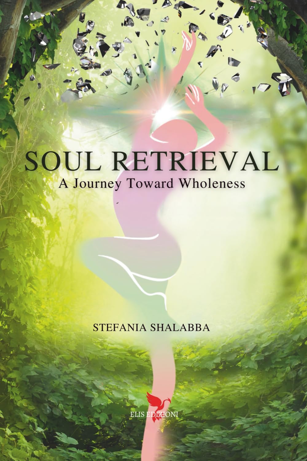 Soul Retrieval: A journey toward wholeness