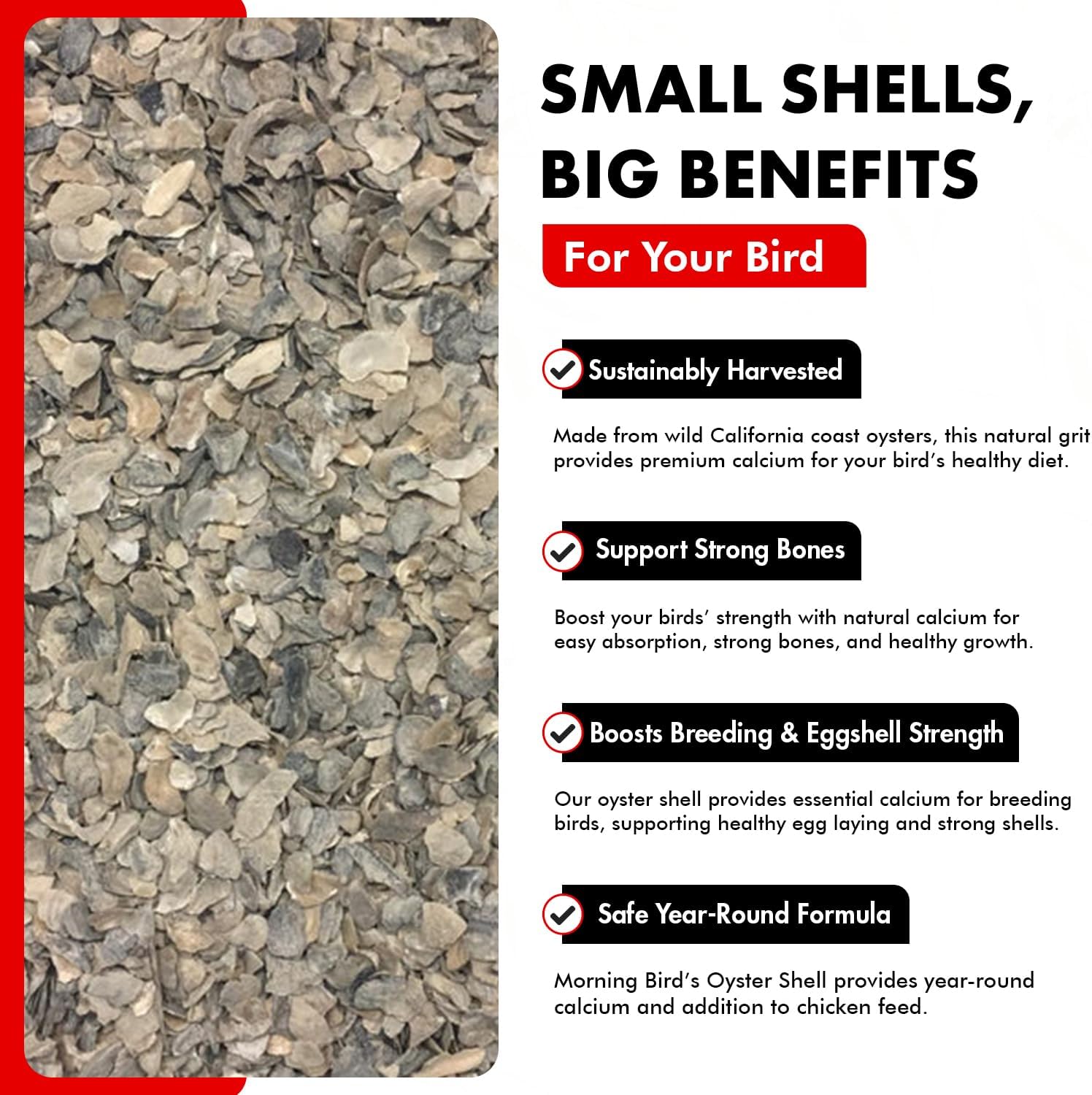 Morning Bird Oyster Shell for Birds 9 lbs - Natural Calcium Supplement – Sustainably Harvested from California Coast - Easy Add to Favorite Mix - Safe Year-Round Bird Food Additive