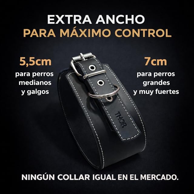 Foto 2 de 8 de Collar para Perros Premium Extra Ancho 5,5 y 7 cm - Cuero Triple Anillo D Soldado - Acolchado Interior
