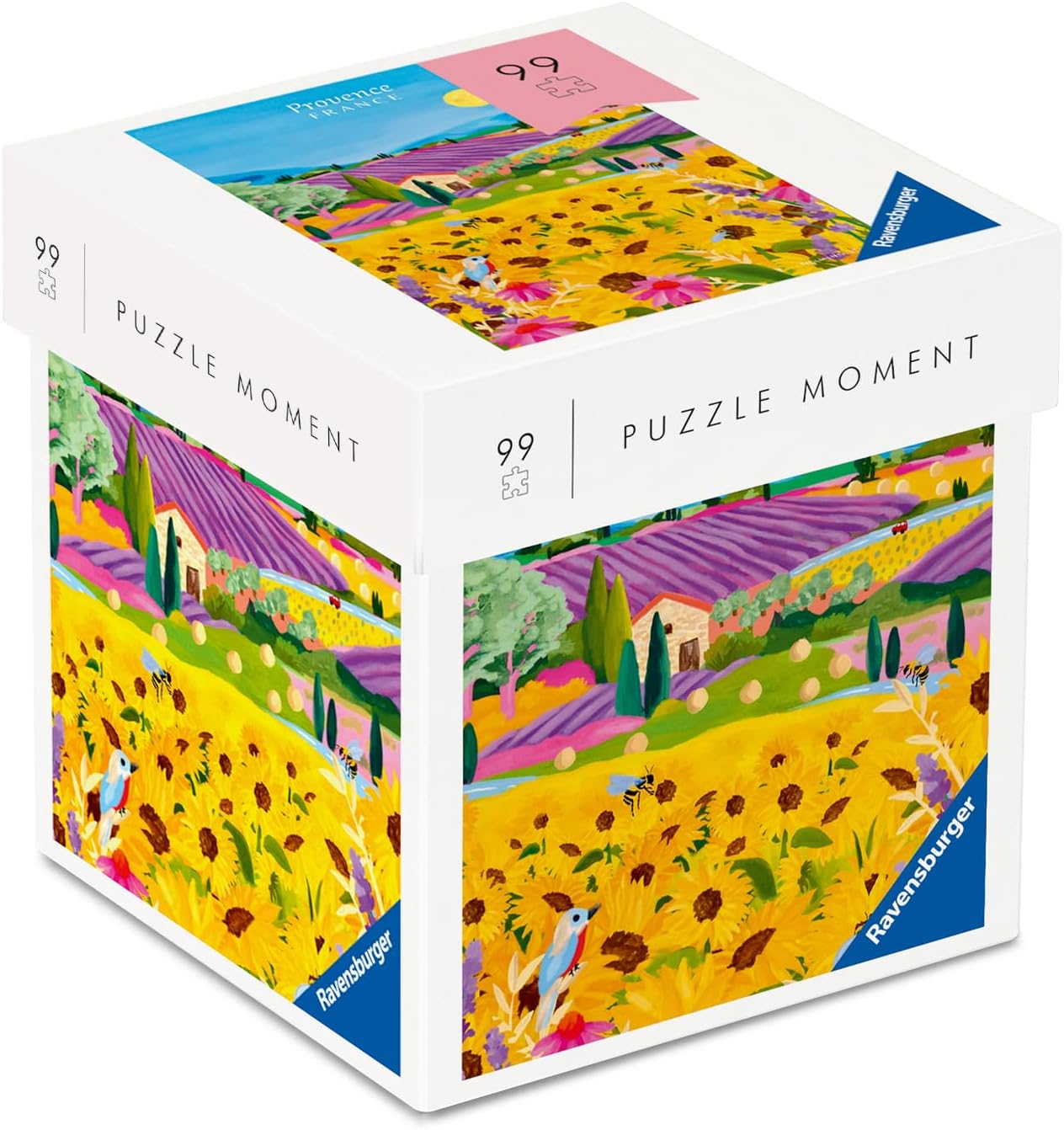 Adult Puzzle 99 Pieces - France