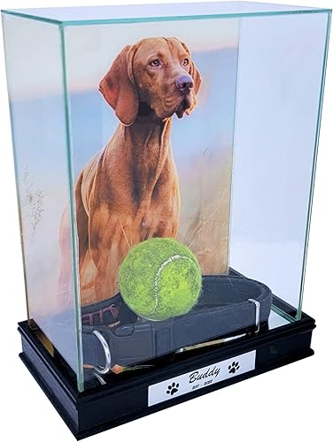 Miniatura 9 de Perfect Cases Vitrina conmemorativa para mascotas con impresión fotográfica de 8 x 10 pulgadas en la parte posterior y grabado personalizado