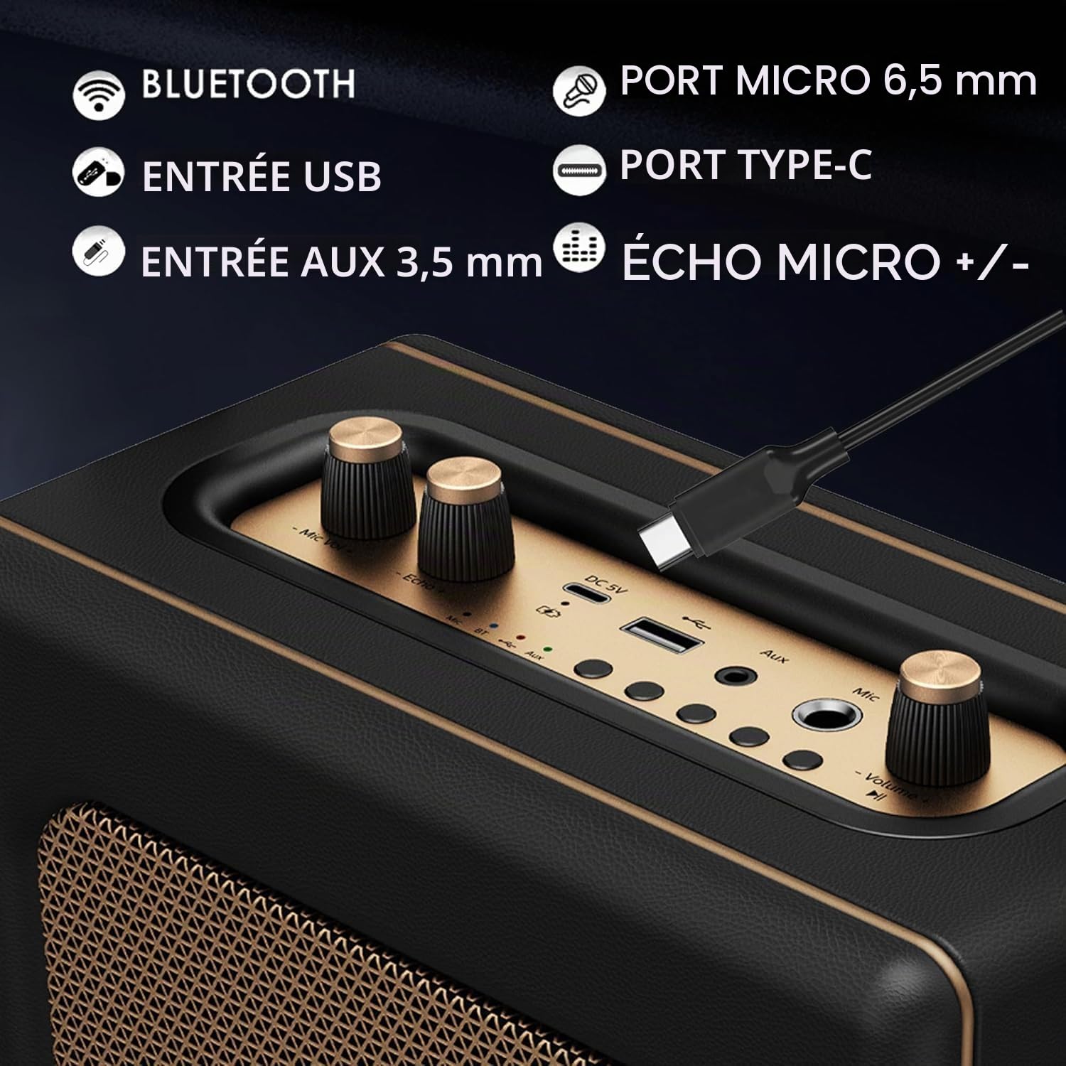 LONPOO Enceinte Bluetooth rétro Aspect Cuir avec Batterie, 20 W, Lecteur USB, entrée auxiliaire, Prise Microphone 6,5 mm, Charge de Type C, Micro Chaîne HiFi stéréo